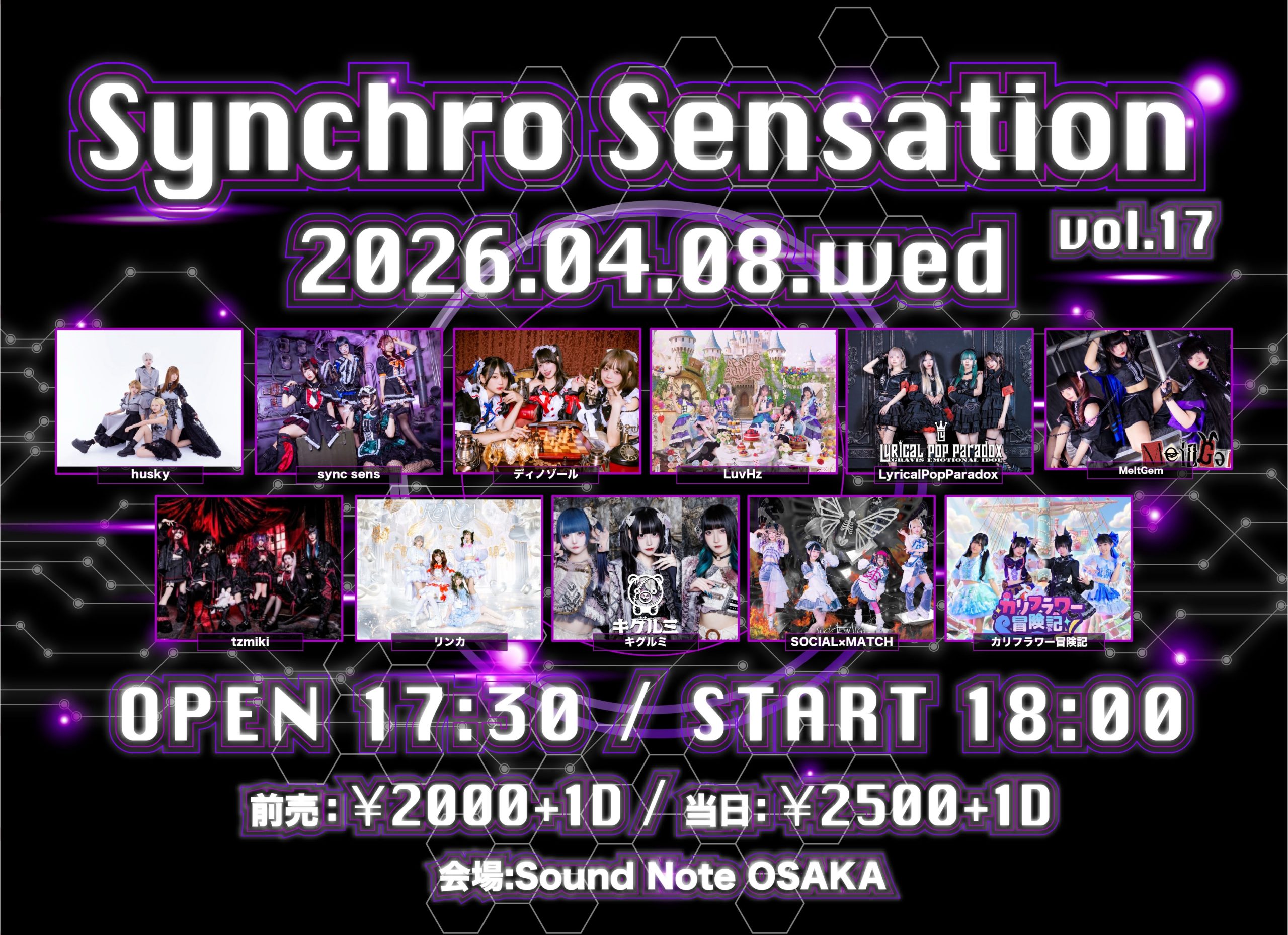 Synchro Sensation Vol.17